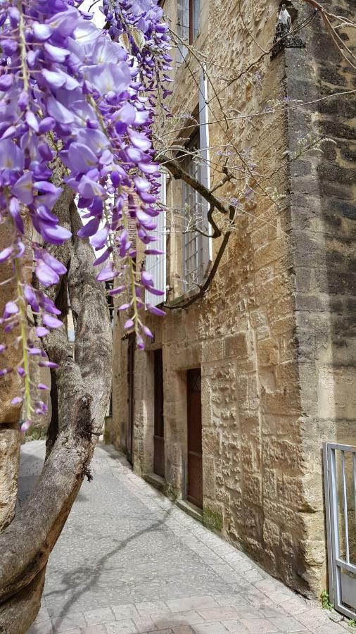 Ferienwohnung Le Rousseau Sarlat Exterior foto